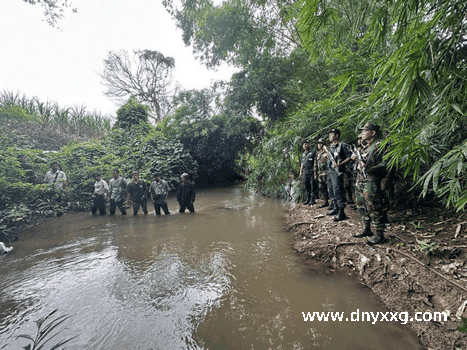 1.gif